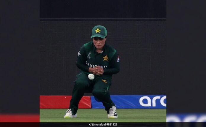 ig1g8hl8_pakistan-dropped-catch_625x300_15_October_24.jpeg